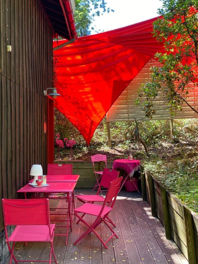 Апартаменты Le Loft Au-Dessus Des Pins Лакано Экстерьер фото